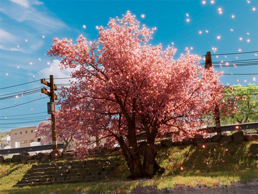 Sakura Scene – Blender - NXlfB1|NXlfB1