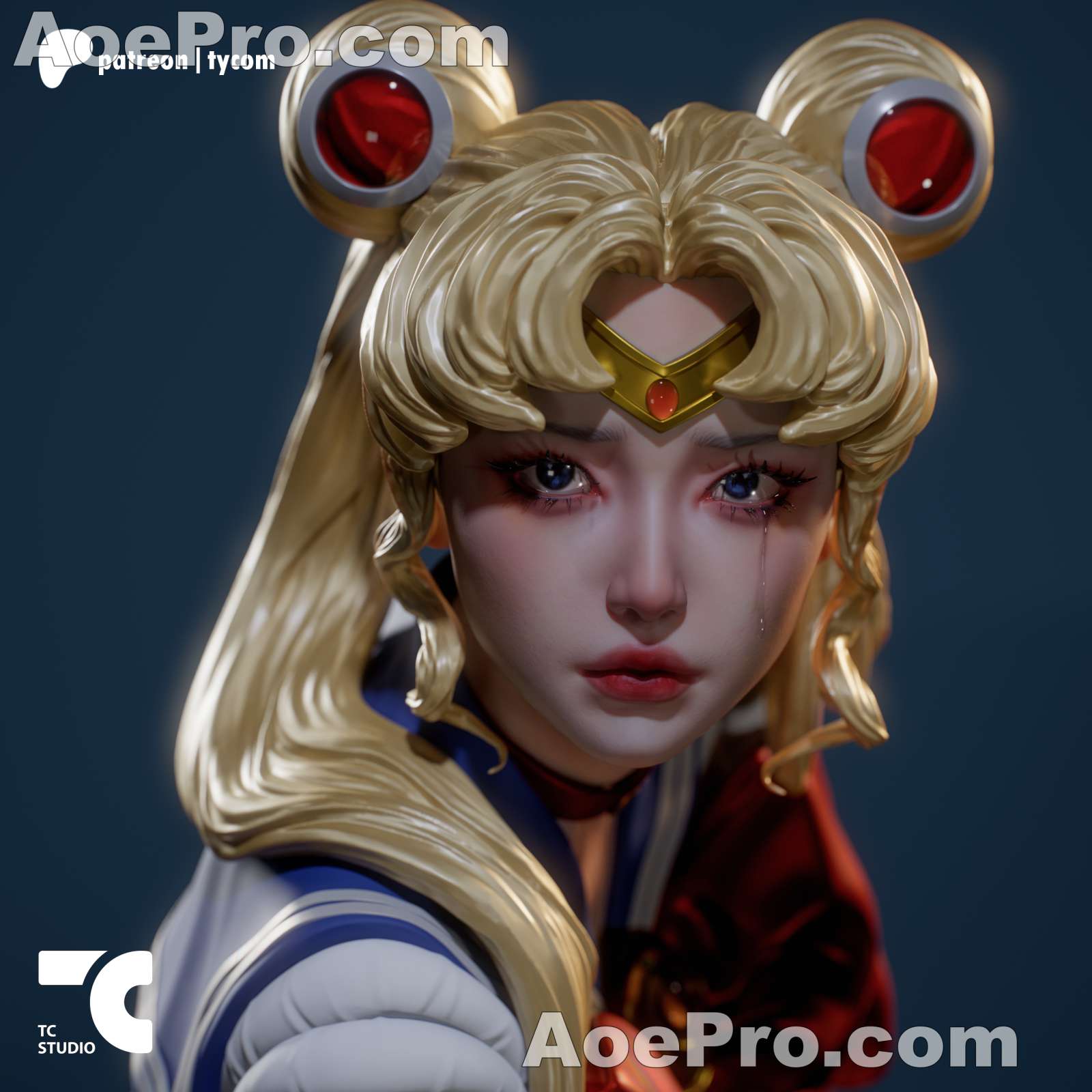 图片[1]|TC Random Collectibles - Sailor Moon – 3D Print Model Figure STL - NXlfB1|NXlfB1